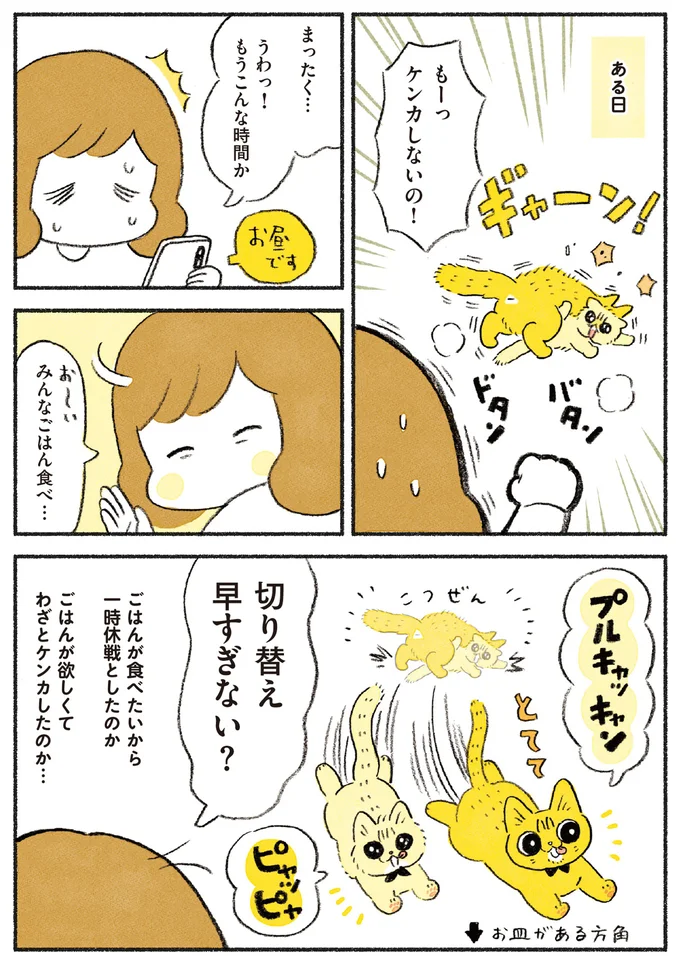 もー！ケンカしないの！