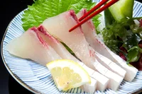 魚の目利きたちが絶賛！ さっぱりした上品な味わいが魅力の「大分ヒラマサ」