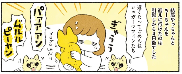 職場を円満退職し、実家を出て新居へ。初めての引っ越しに大騒ぎの猫たち／茶トラのやっちゃんとちーちゃん ベンガルのももちゃんもやってきた！（3）