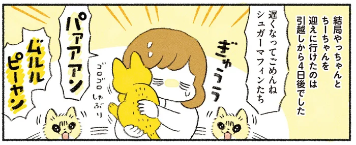 職場を円満退職し、実家を出て新居へ。初めての引っ越しに大騒ぎの猫たち／茶トラのやっちゃんとちーちゃん ベンガルのももちゃんもやってきた！（3）