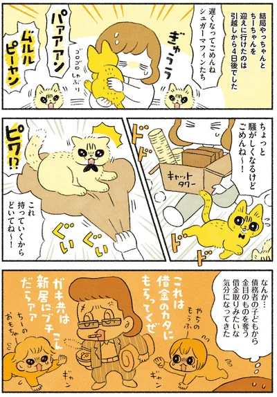 結局迎えに行けたのは4日後でした