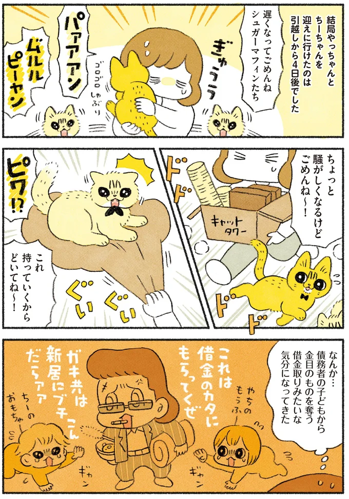 結局迎えに行けたのは4日後でした