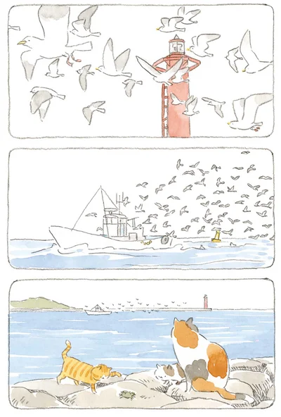 海の景色