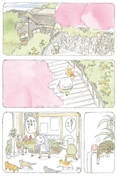 先生おはよー