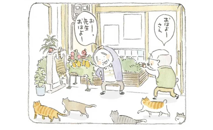 「おはよーさん」穏やかな島の朝。朝から釣りをするじいちゃんと猫たち／ねことじいちゃん3（1）