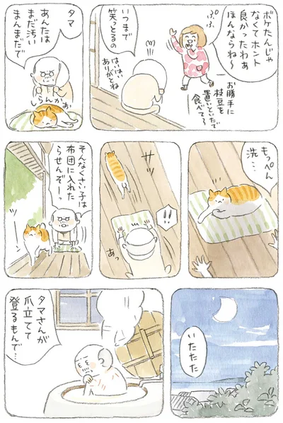 そんなくさい子は布団に入れたらせんぞーっ