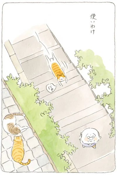 使いわけ