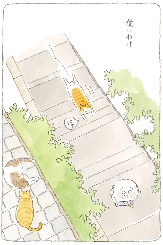 使いわけ