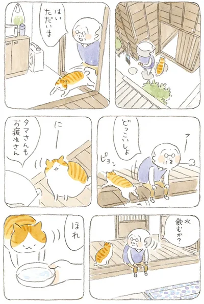 タマさんもお疲れさん