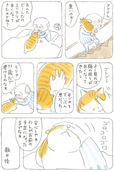 安心しやぁ　わしがお前の手足になったるでなぁ