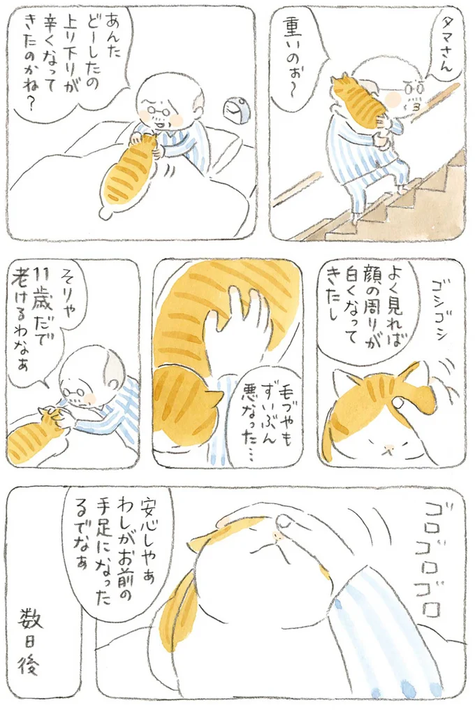 安心しやぁ　わしがお前の手足になったるでなぁ