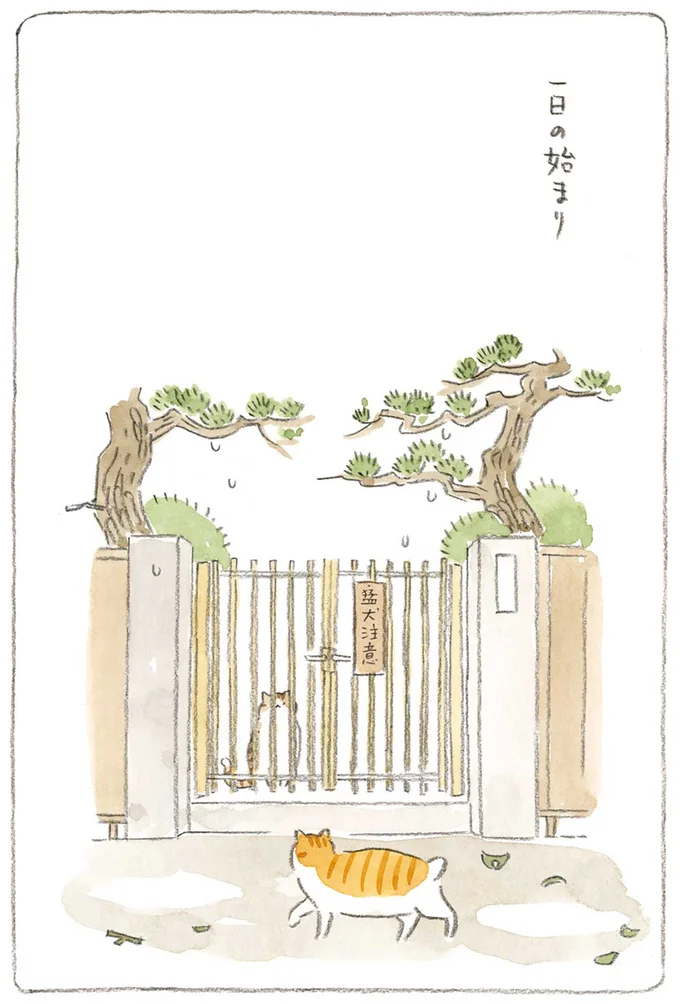 一日の始まり