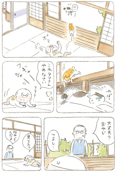 見てた？