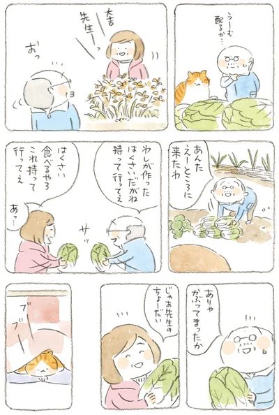 わしが作ったはくさいだがね