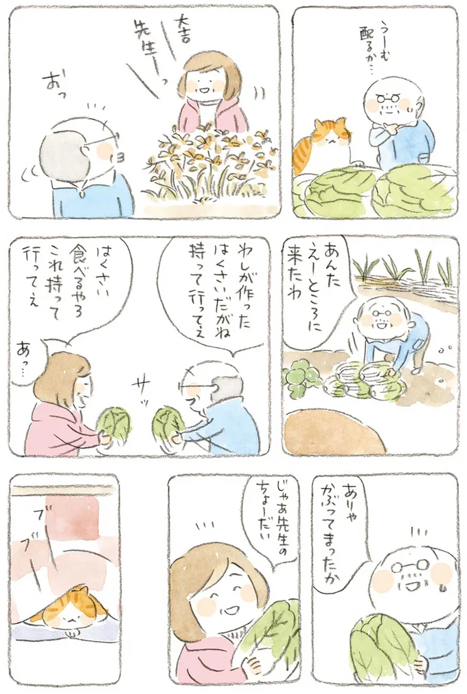 わしが作ったはくさいだがね