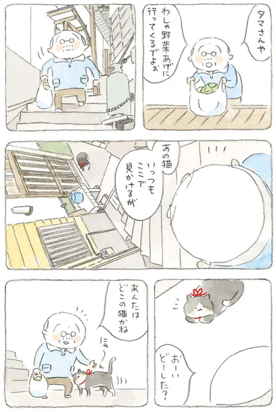 あんたはどこの猫かね