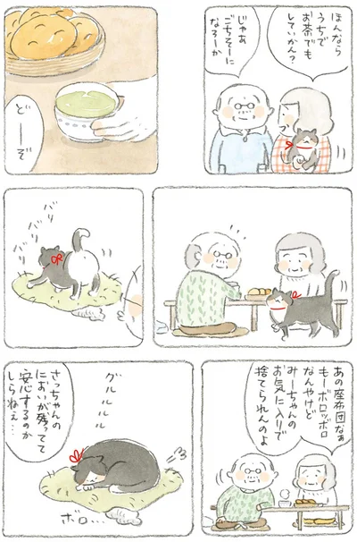 みーちゃんのお気に入りで捨てられんのよ