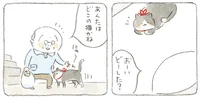 「どこの猫？」いつも同じ場所で見かける赤いリボンの島猫／ねことじいちゃん3（6）