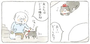 「どこの猫？」いつも同じ場所で見かける赤いリボンの島猫