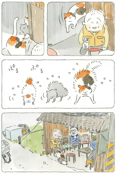 雨宿り