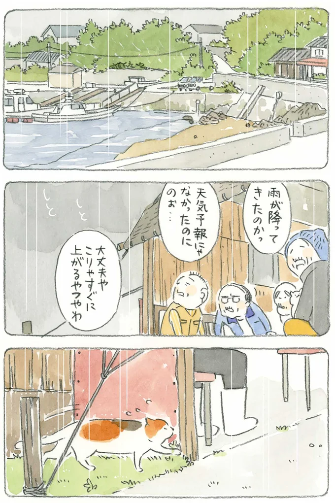 雨が降ってきたのか