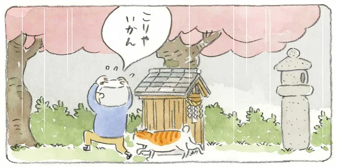 桜咲く芽吹きの春。急な雨にじいちゃんも猫も雨宿り