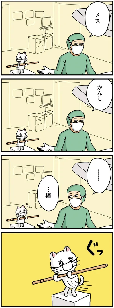 『貴重な棒を持つネコ』より