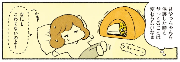 引っ越し直後に元気がなかった愛猫。しかし数日後にはおてんばぶりが復活!?／茶トラのやっちゃんとちーちゃん ベンガルのももちゃんもやってきた！（4）