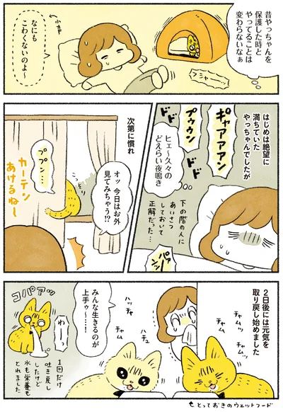 次第に慣れてきたやっちゃん