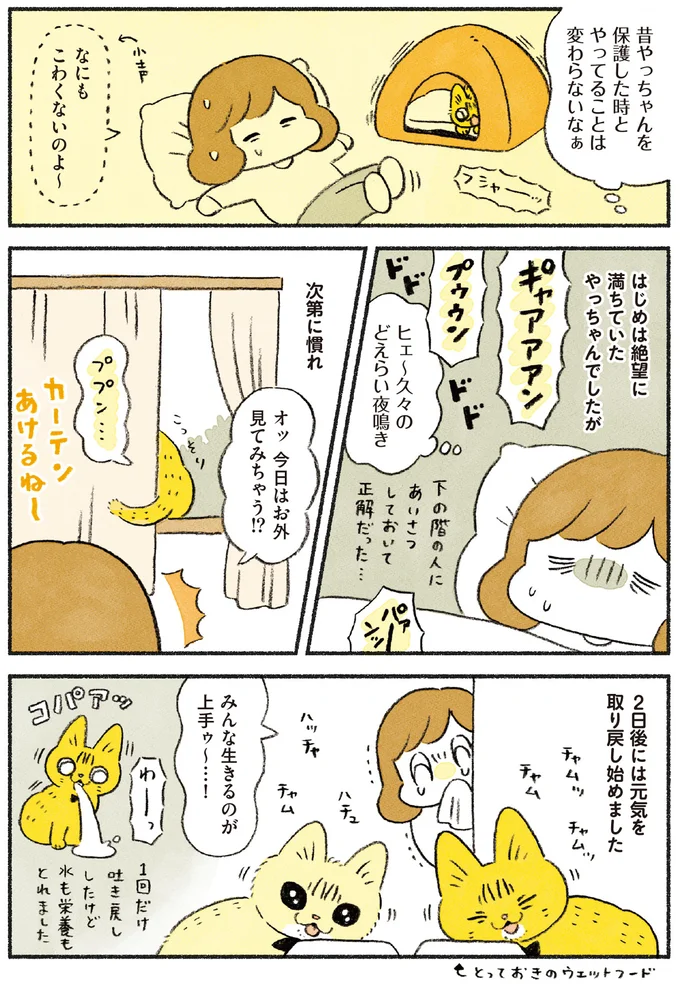 次第に慣れてきたやっちゃん