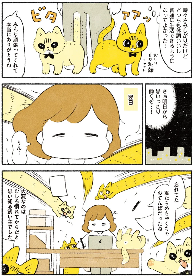 大変なのは慣れてから…！