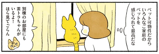 いつでも猫が吸える環境、最高！ 毎日の幸せを噛みしめる新生活／茶トラのやっちゃんとちーちゃん ベンガルのももちゃんもやってきた！（5）