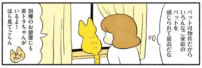 いつでも猫が吸える環境、最高！ 毎日の幸せを噛みしめる新生活／茶トラのやっちゃんとちーちゃん ベンガルのももちゃんもやってきた！（5）