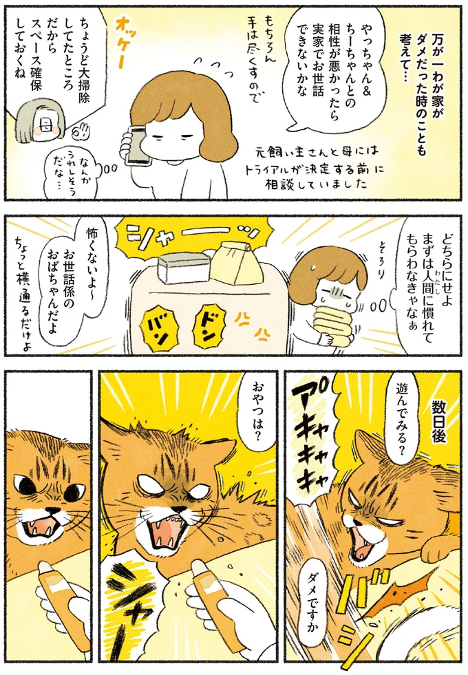 まずは人間に慣れてもらわなきゃ