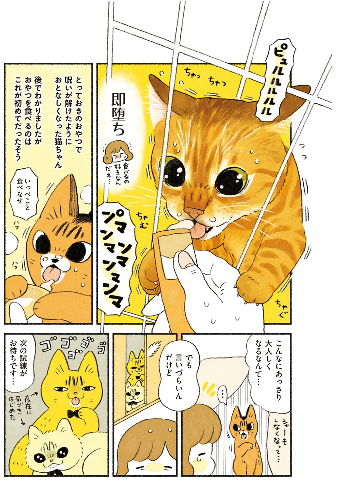 呪いが解けたように