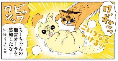 こいつならいける！！