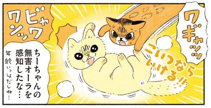 こいつならいける!!