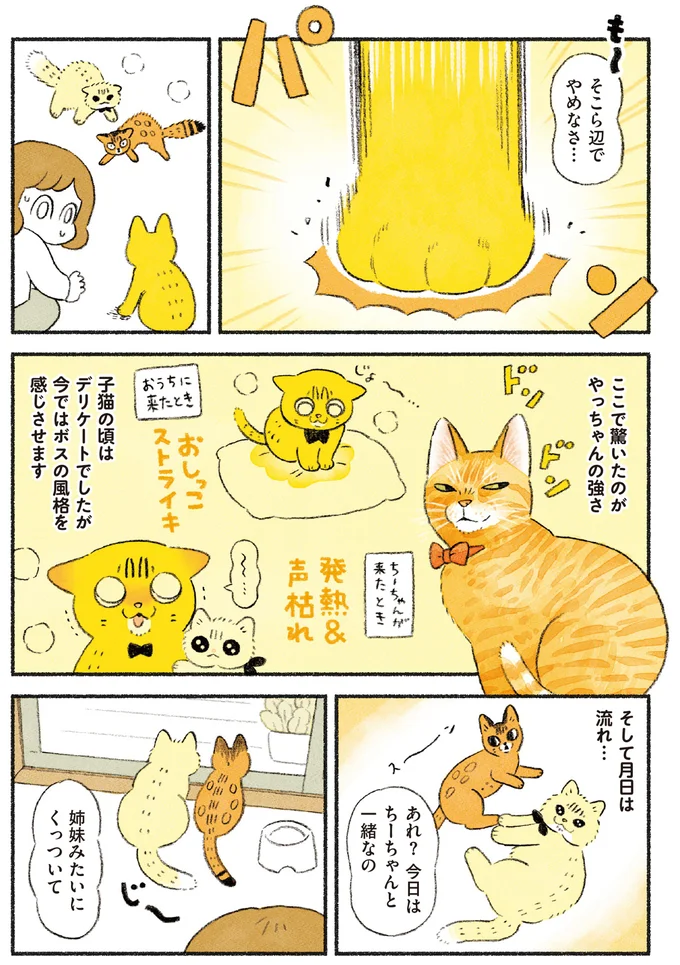 ここで驚いたのがやっちゃんの強さ