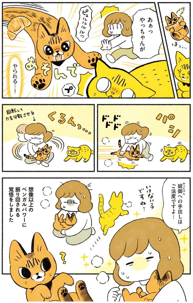 想像以上のベンガルパワー