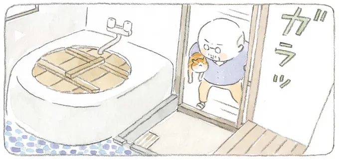 猫をお風呂に入れたいじいちゃんの悪戦奮闘