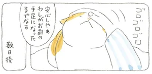 「お前の手足になったるでなぁ」年をとった猫を気遣うじいちゃん。意外なオチが！