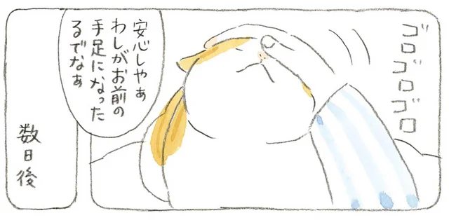 「お前の手足になったるでなぁ」年をとった猫を気遣うじいちゃん。意外なオチが！／ねことじいちゃん3（3）