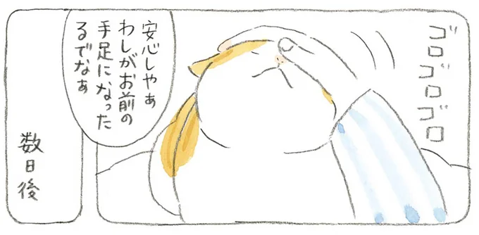 年をとった猫を気遣うじいちゃん。意外なオチが!