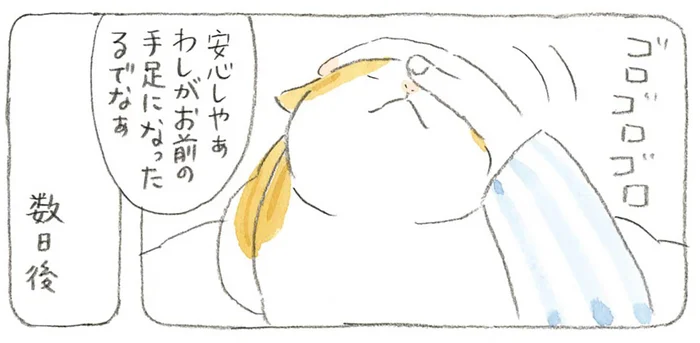 「お前の手足になったるでなぁ」年をとった猫を気遣うじいちゃん。意外なオチが！／ねことじいちゃん3（3）