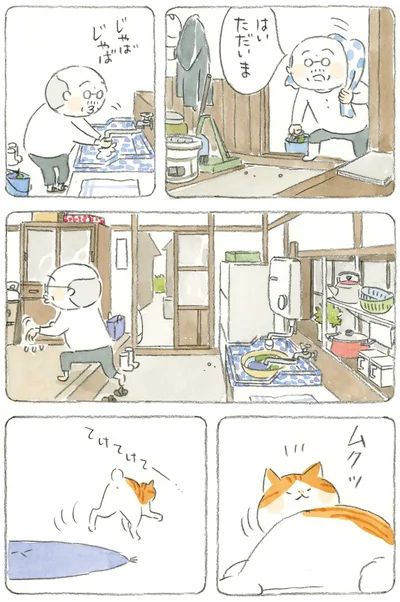 はいただいま