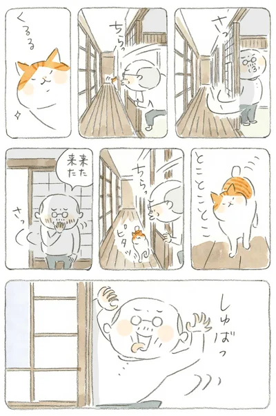 来た来た