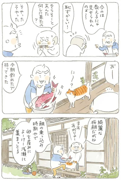 今のは教え子には見せられんのぉ～
