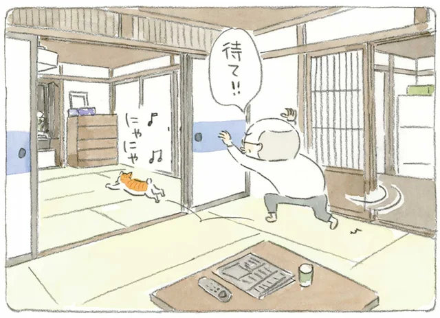 飼い猫から遊びのお誘いが？じいちゃんもノリノリで鬼ごっこ／ねことじいちゃん4（2）