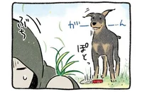 ジャマだなぁ！ 草むしり中にかまってほしい犬、その様々な作戦とは／ドベとノラ（2）