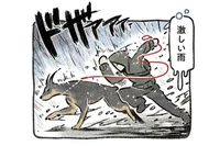 どうせお風呂入るからいっか！ 犬の散歩中の雨も楽しめるようになりました